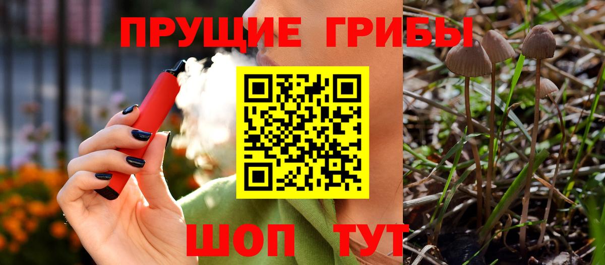 Новоалтайск  Галлюциногенные грибы GOLDEN TEACHER  закладки  Вход с VPN  Галлюциногенные грибы мухоморы 